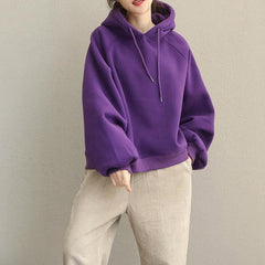 2019 Cute Yellow And Purple Brushed Hoodie Fleece For Women dylinoshop