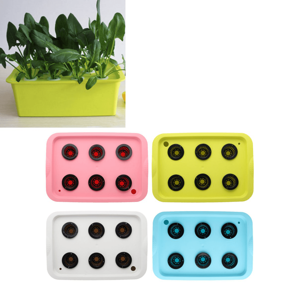 220V 6 Holes Hydroponic System Kit Soilless Cultivation Indoor Water for Home Planting Grow Box dylinoshop