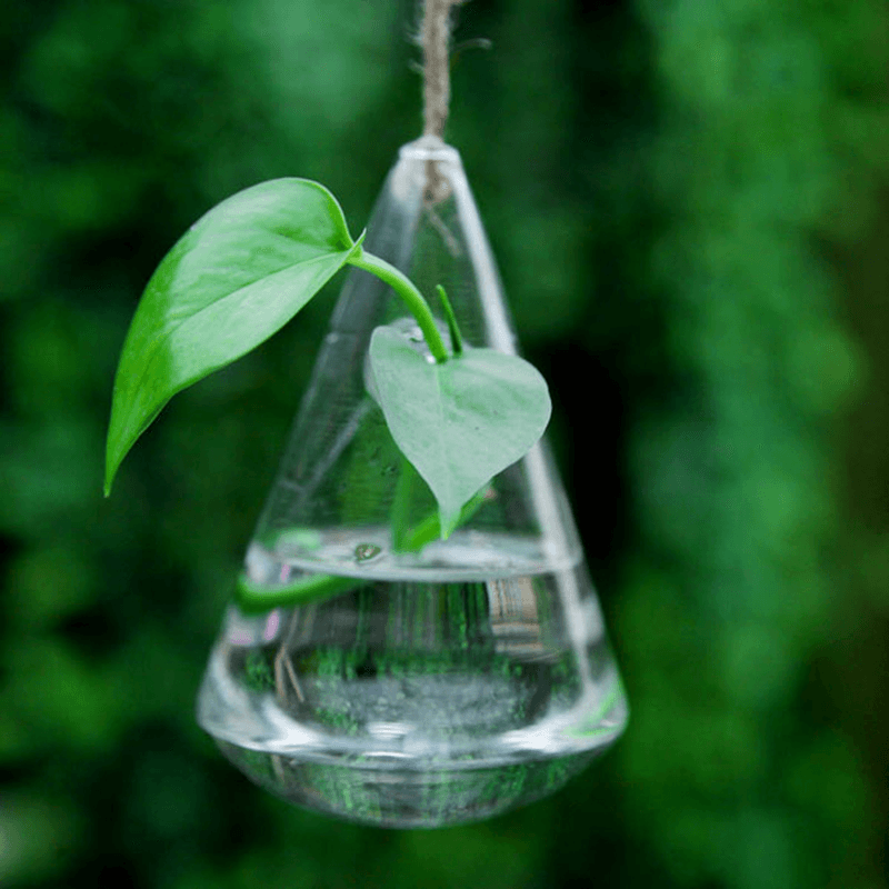 Hanging Water Drop Shaped Glass Hydroponics Flower Vase Home Garden Wedding Party Decoration dylinoshop