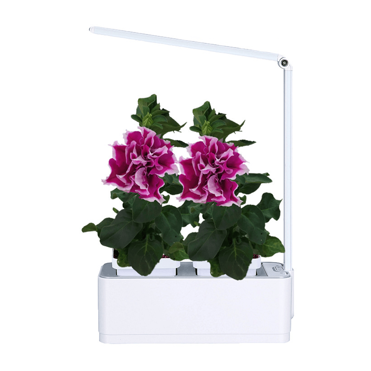 8W Intelligent Automatic Watering Pot LED Soilless Hydroponic Flower Pot Indoor Plant Growth Lamp Home Decoration dylinoshop