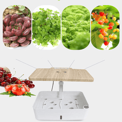 110-240V Indoor Intelligent Hydroponic Planting Box Soilless Cultivation Equipment LED Fill Light Vegetable Planting Machine Nursery Flower Pot dylinoshop