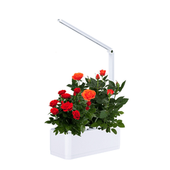 8W Intelligent Automatic Watering Pot LED Soilless Hydroponic Flower Pot Indoor Plant Growth Lamp Home Decoration dylinoshop