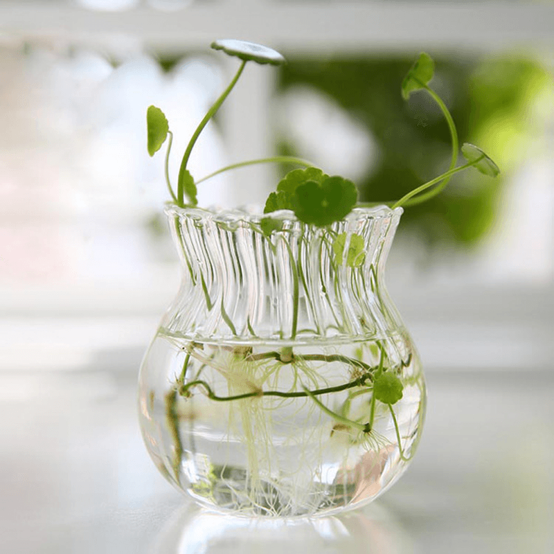 Hydroponic Plants Stripe Shape Glass Bottle Vase Home Garden Wedding Party Decoration dylinoshop