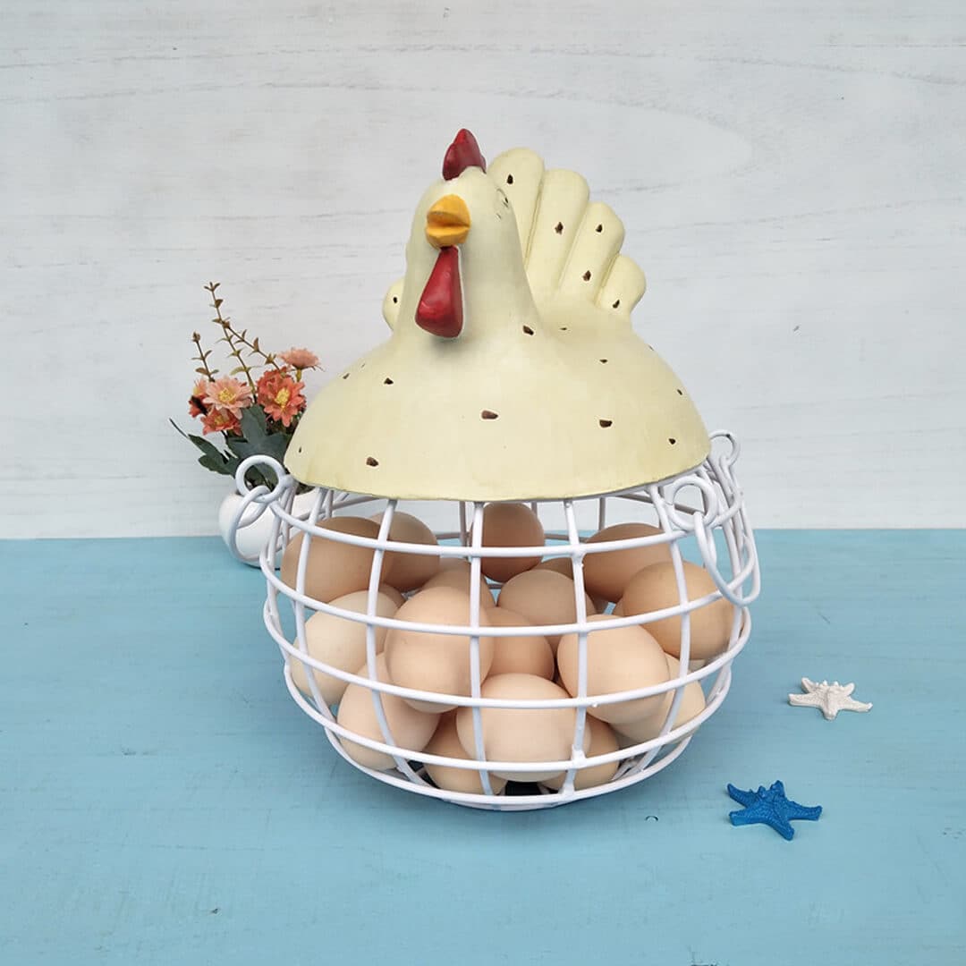 Egg Holder Hen Storage Basket dylinoshop