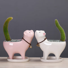 Cat Tail Cactus Ceramic Flowerpot dylinoshop