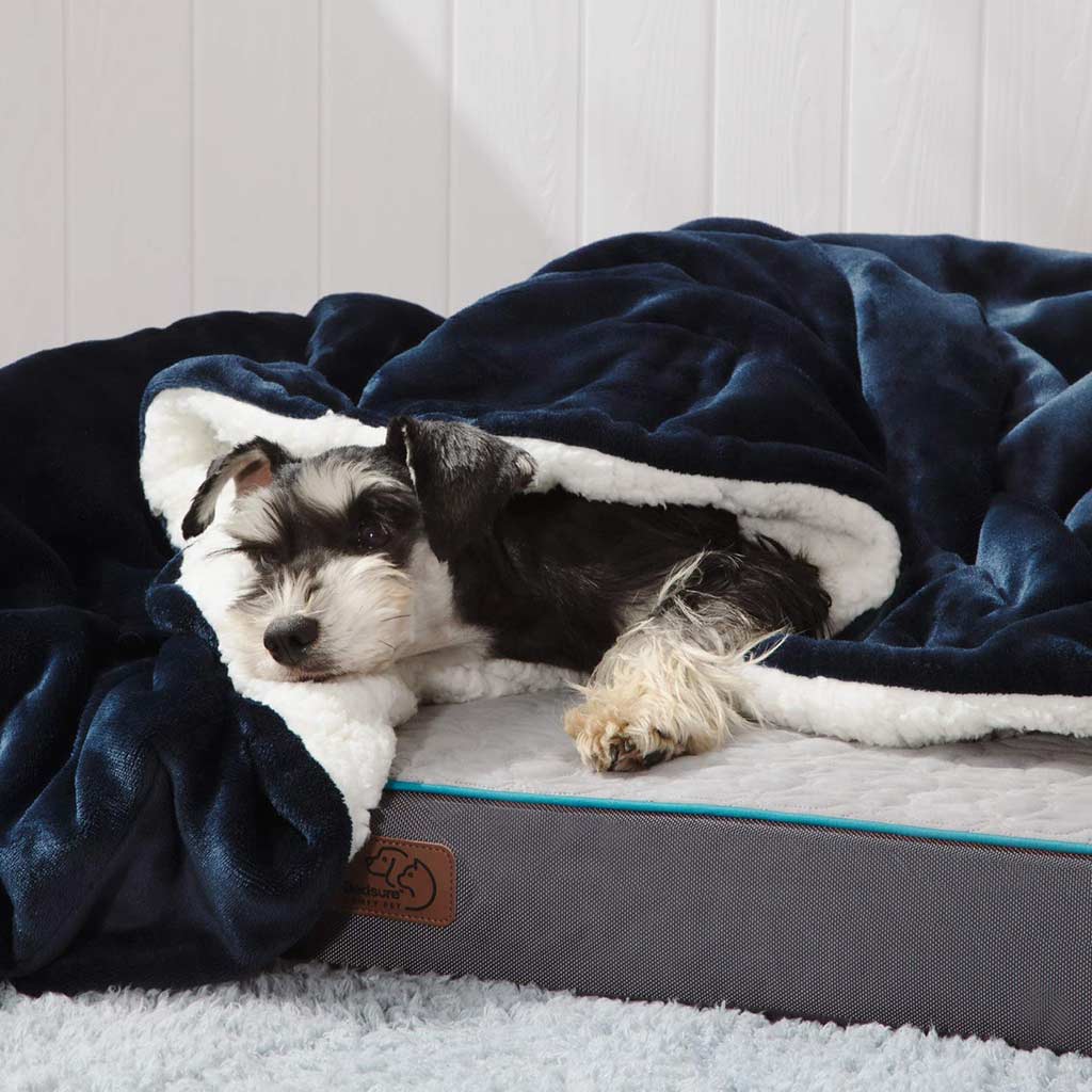 Solid Color Sherpa Fleece Blanket Feajoy