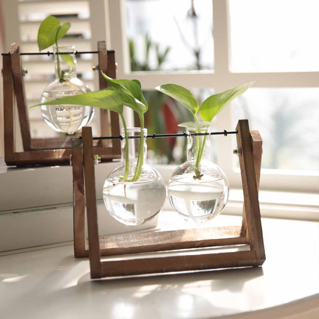 Transparent Glass Bulb Planter Feajoy