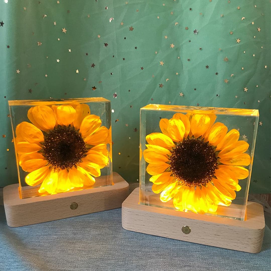 Sunflower Night light Feajoy