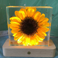 Sunflower Night light Feajoy