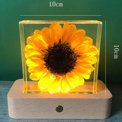 Sunflower Night light Feajoy