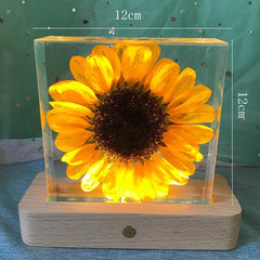 Sunflower Night light Feajoy