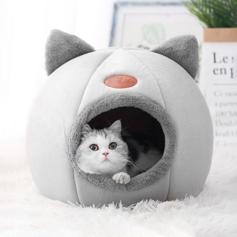 Cat Bed dylinoshop