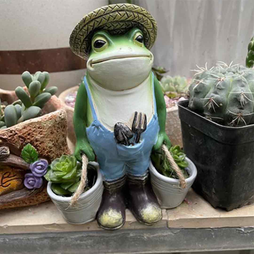 Gardener Frog Feajoy