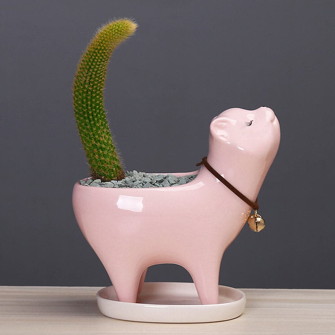 Cat Tail Cactus Ceramic Flowerpot dylinoshop