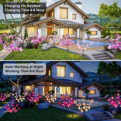 20 Flower Solar Orchid Lights dylinoshop