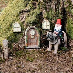 Fairy Door and Windows for Trees Feajoy