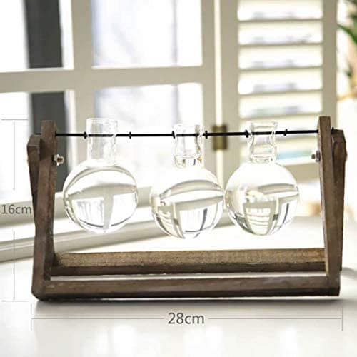 Transparent Glass Bulb Planter Feajoy