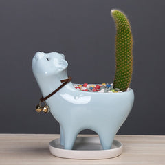 Cat Tail Cactus Ceramic Flowerpot dylinoshop