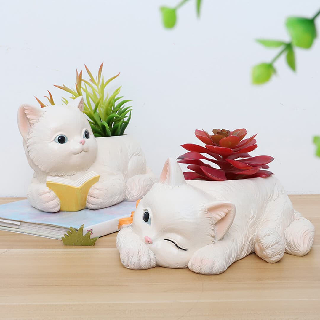 Cute Cat Succulent Flower Pot dylinoshop