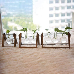 Transparent Glass Bulb Planter Feajoy