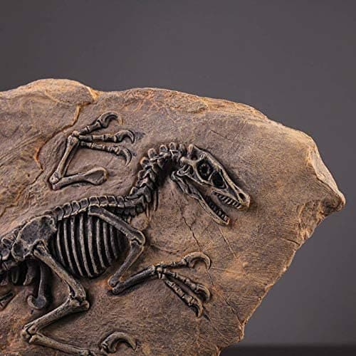 Resin Dinosaur Fossil Statue feajoy