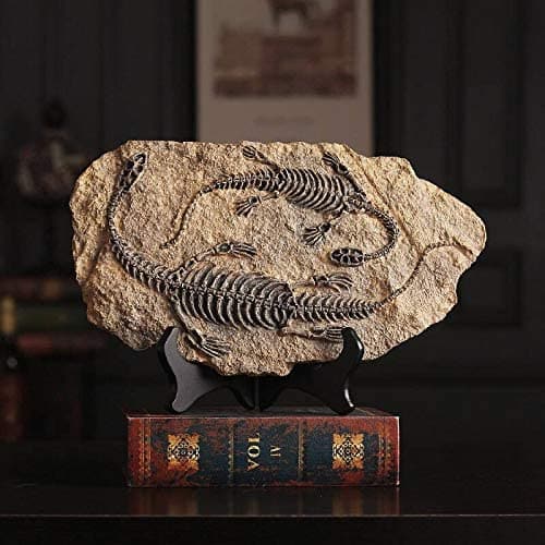 Resin Dinosaur Fossil Statue feajoy