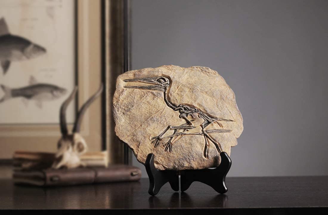 Resin Dinosaur Fossil Statue feajoy