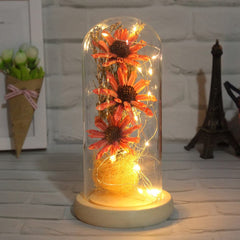 Dried Flowers Led Light - HANDMADE Feajoy