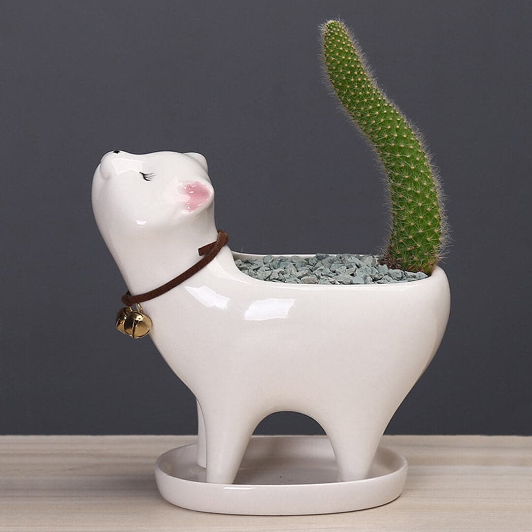 Cat Tail Cactus Ceramic Flowerpot dylinoshop