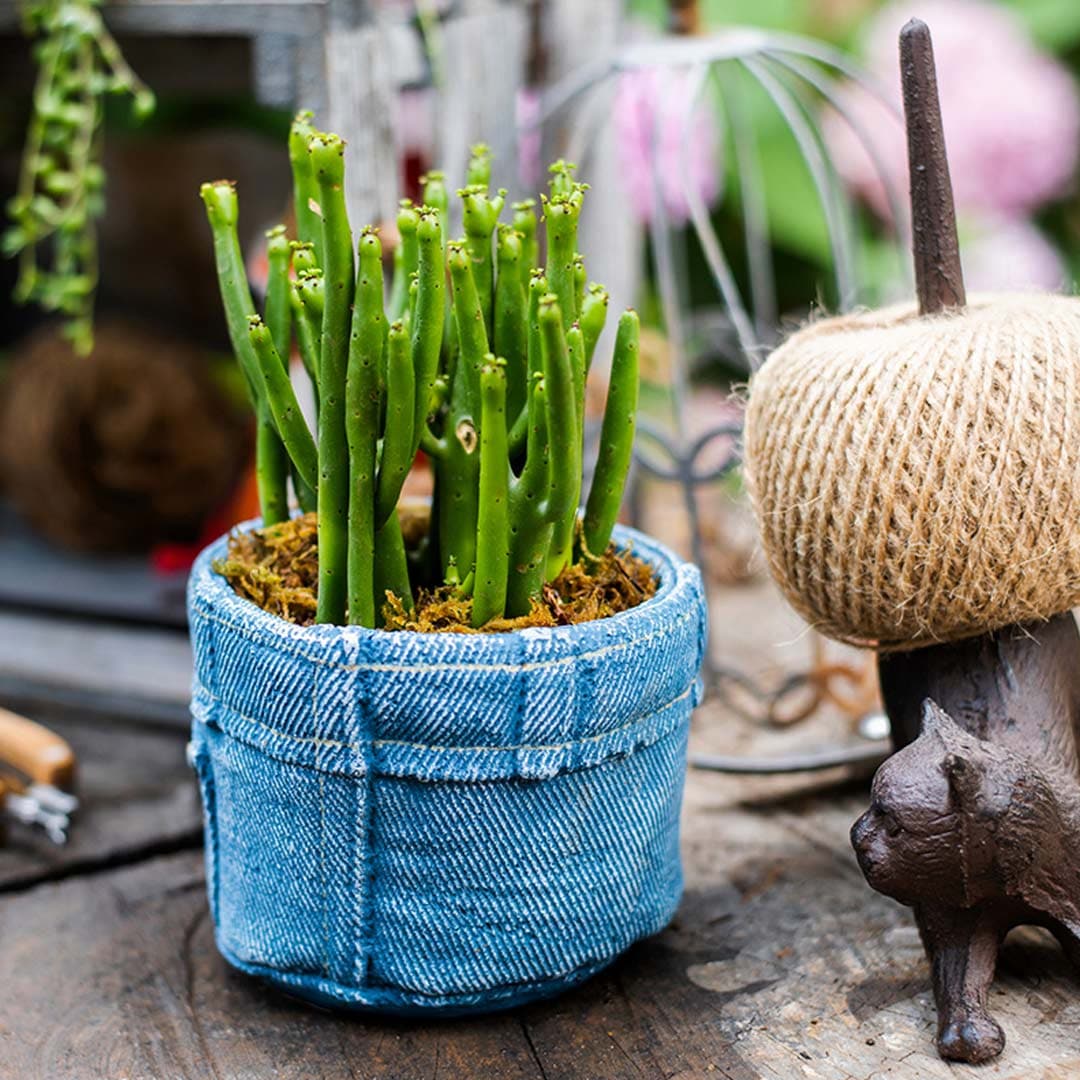 Denim Clothes Pants Flower Pot dylinoshop