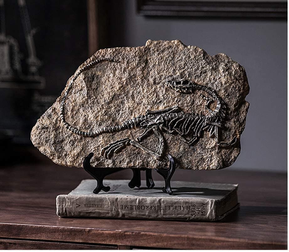 Resin Dinosaur Fossil Statue feajoy