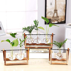 Transparent Glass Bulb Planter Feajoy