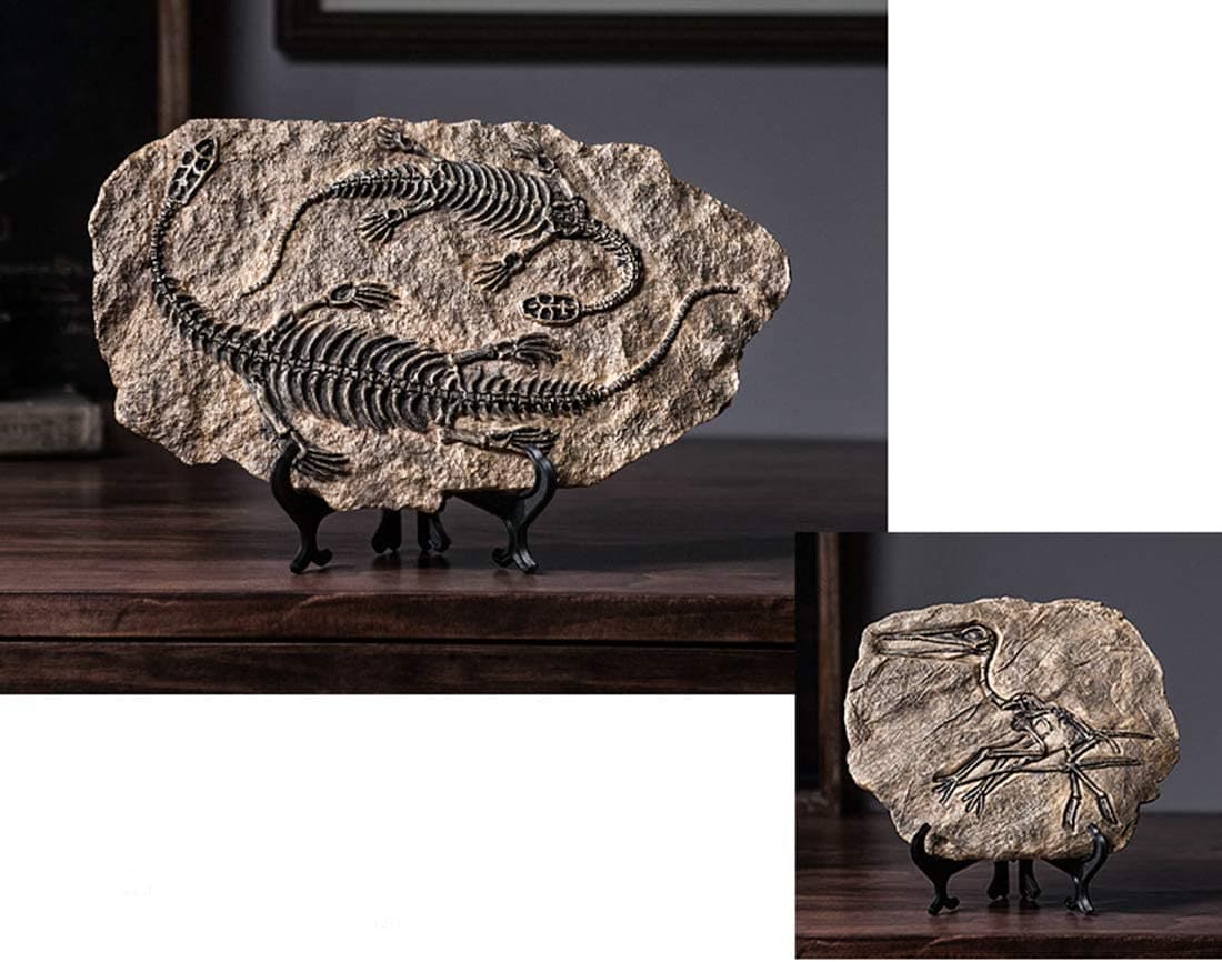 Resin Dinosaur Fossil Statue feajoy