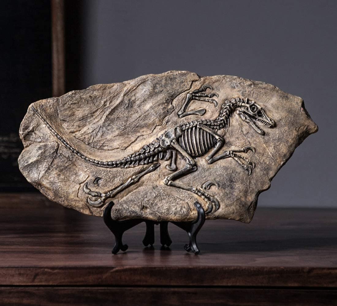 Resin Dinosaur Fossil Statue feajoy