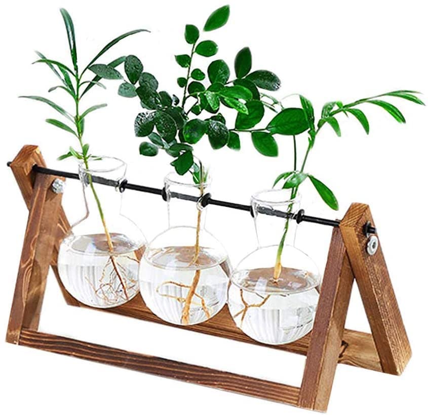 Transparent Glass Bulb Planter Feajoy