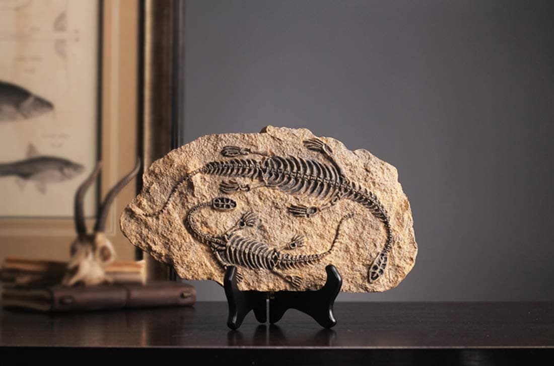 Resin Dinosaur Fossil Statue feajoy