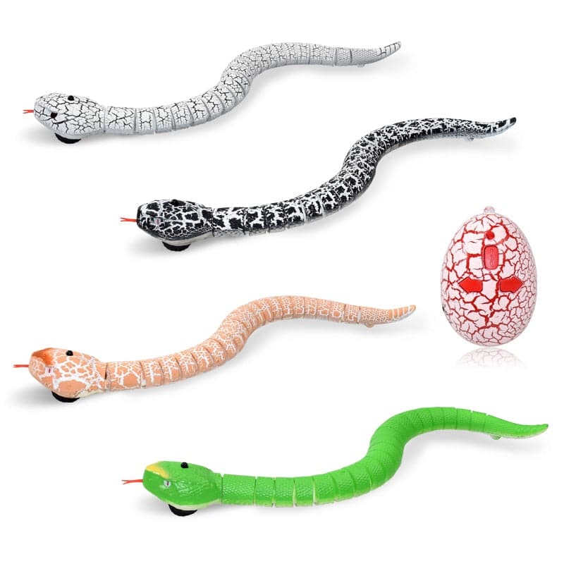 Fun RC Snake Toy DYLINOSHOP