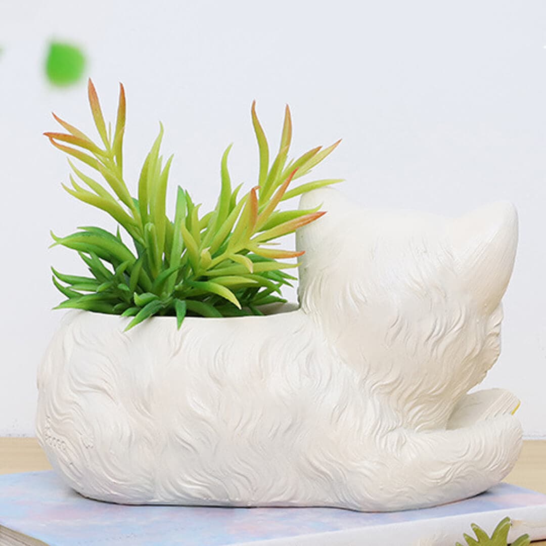 Cute Cat Succulent Flower Pot dylinoshop