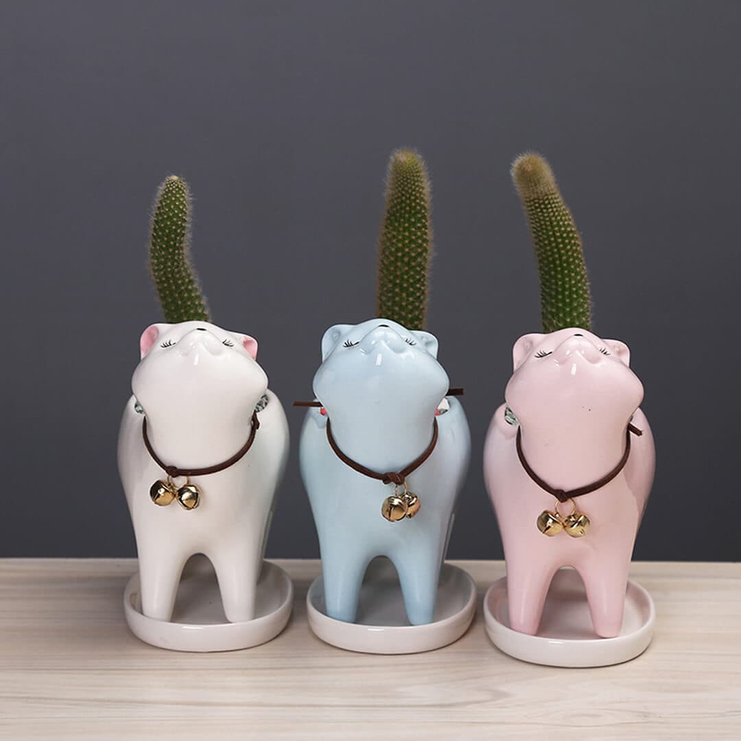 Cat Tail Cactus Ceramic Flowerpot dylinoshop