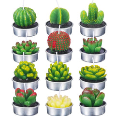 12 Pieces Beautiful Cactus Candles dylinoshop