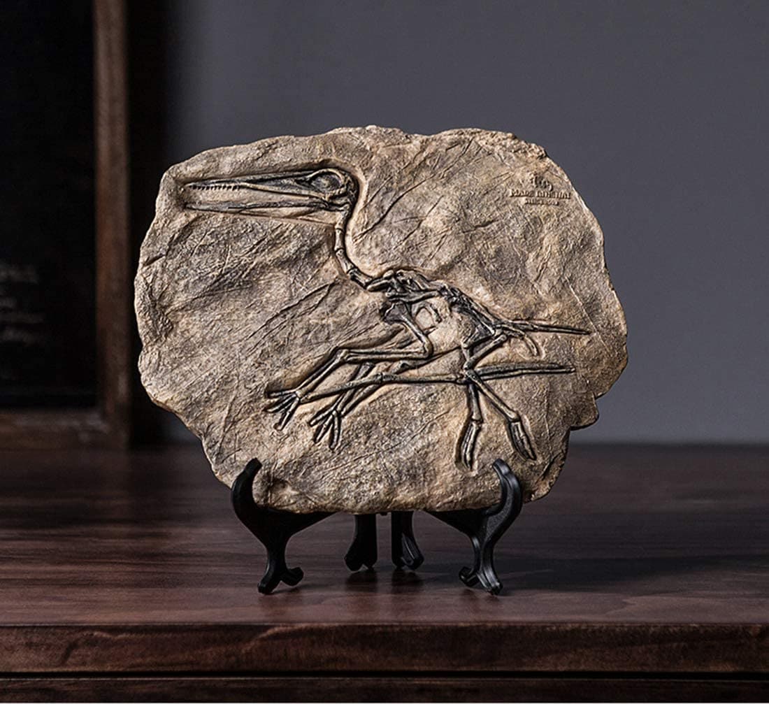 Resin Dinosaur Fossil Statue feajoy