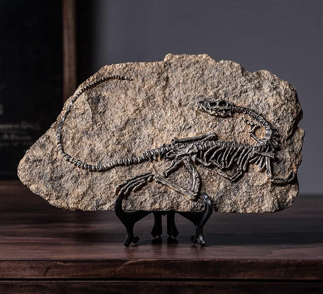 Resin Dinosaur Fossil Statue feajoy