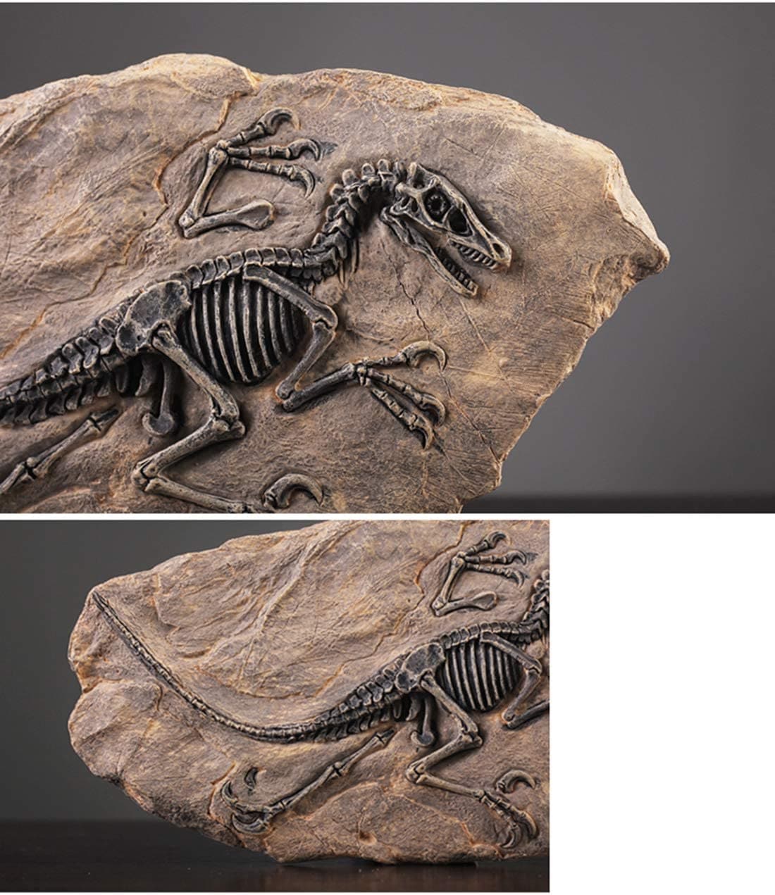 Resin Dinosaur Fossil Statue feajoy