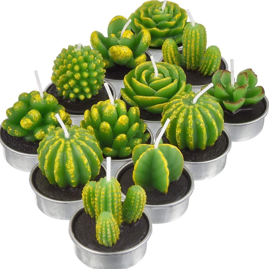 12 Pieces Beautiful Cactus Candles dylinoshop