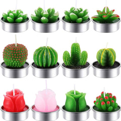 12 Pieces Beautiful Cactus Candles dylinoshop