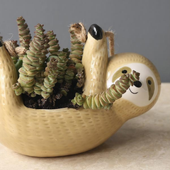 Ceramic Hanging Sloth Plant Pot dylinoshop