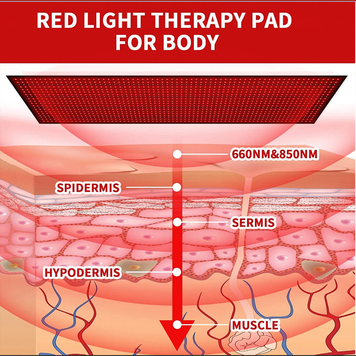 Full-Body Red and Near-Infrared Light Therapy Mat dylinoshop