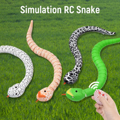 Fun RC Snake Toy DYLINOSHOP