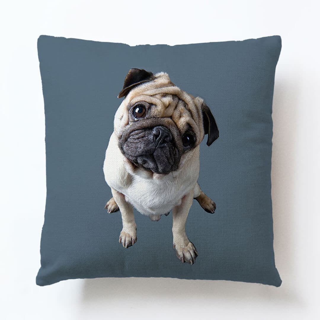 Cute Pug Art Pillow Cover dylinoshop