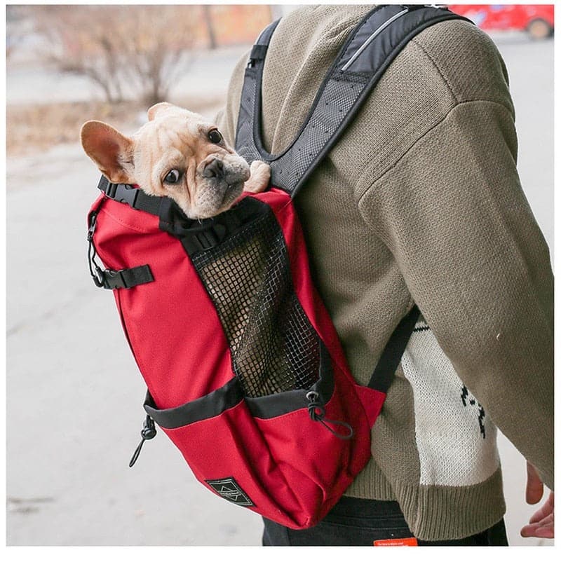 Pet Dog Carrier Travel Backpack Shoulder Dog Outdoor Bag Ventilation Breathable Bicycle Motorcycle Outdoor Hiking Sport Bag dylinoshop